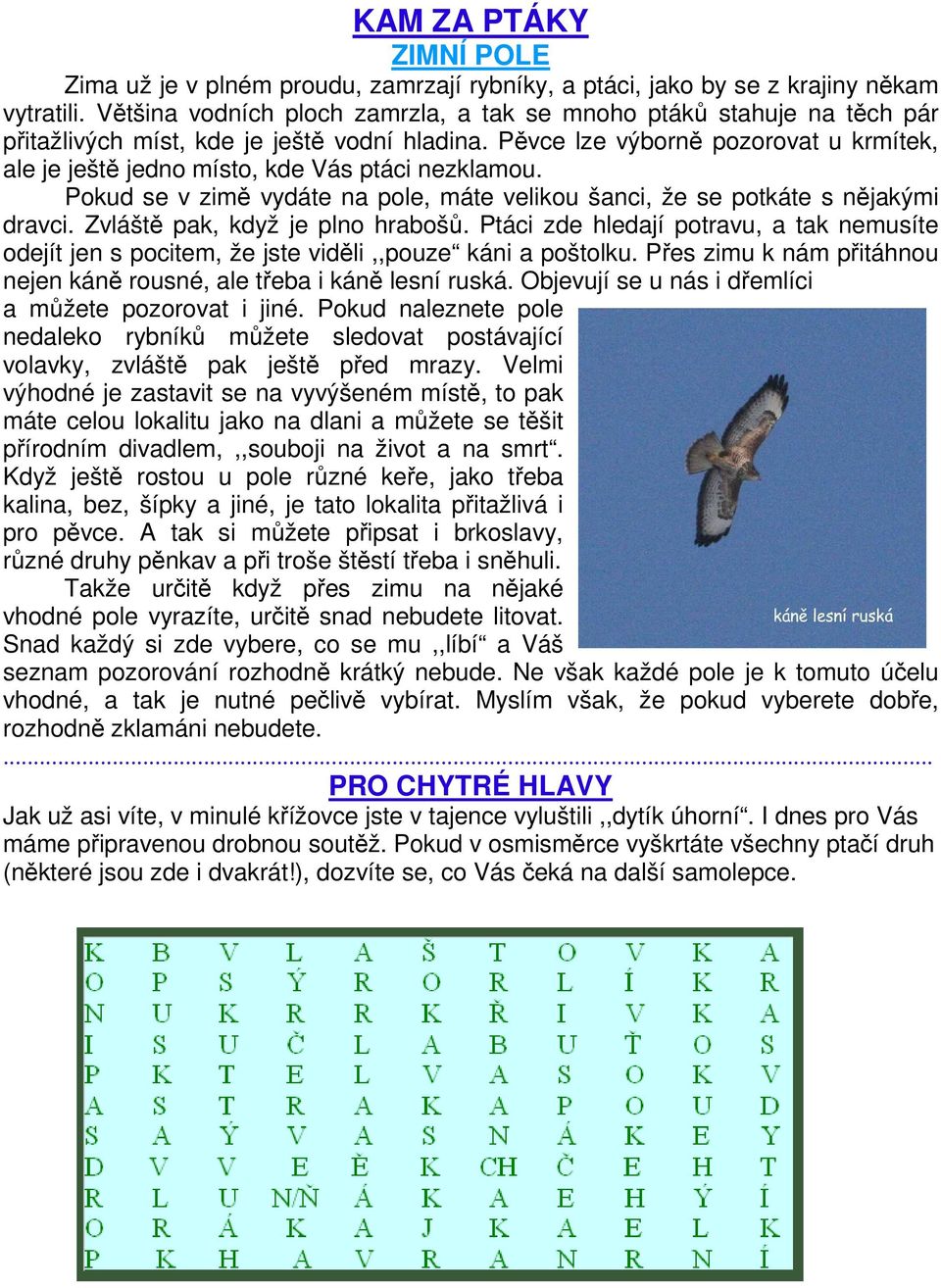 Pěvce lze výborně pozorovat u krmítek, ale je ještě jedno místo, kde Vás ptáci nezklamou. Pokud se v zimě vydáte na pole, máte velikou šanci, že se potkáte s nějakými dravci.