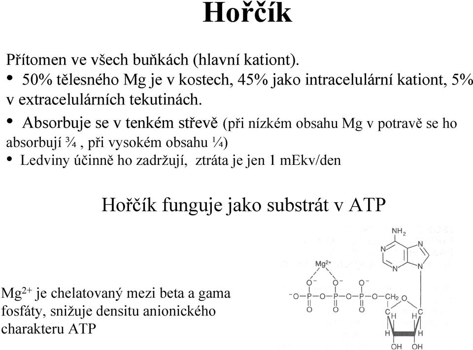 Absorbuje se v tenkém střevě (při nízkém obsahu Mg v potravě se ho absorbují ¾, při vysokém obsahu ¼)