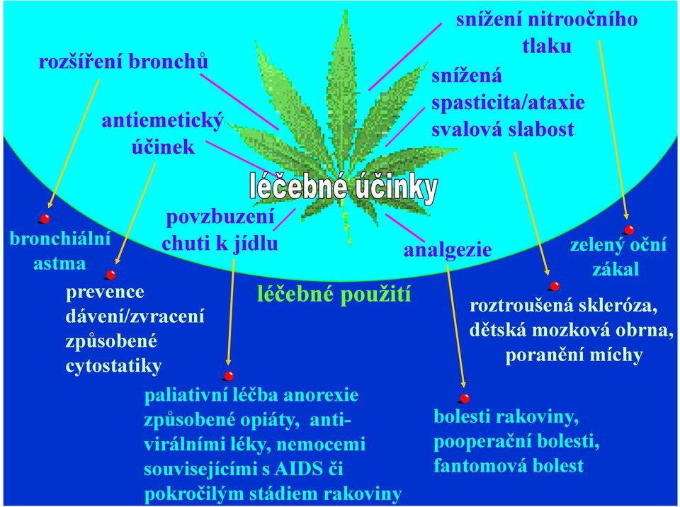 anorexie způsobené opiáty, antivirálními léky, nemocemi souvisejícími s AIDS či pokročilým stádiem rakoviny analgezie