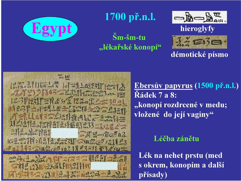 Ebersův papyrus (1500 př.n.l.