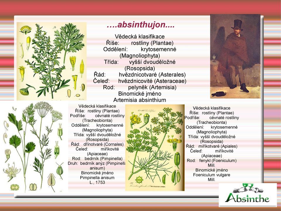 absinthium Podříše: cévnaté rostliny (Tracheobionta) krytosemenné (Magnoliophyta) Třída: vyšší dvouděložné (Rosopsida) dřínotvaré (Cornales) Čeleď: miříkovité