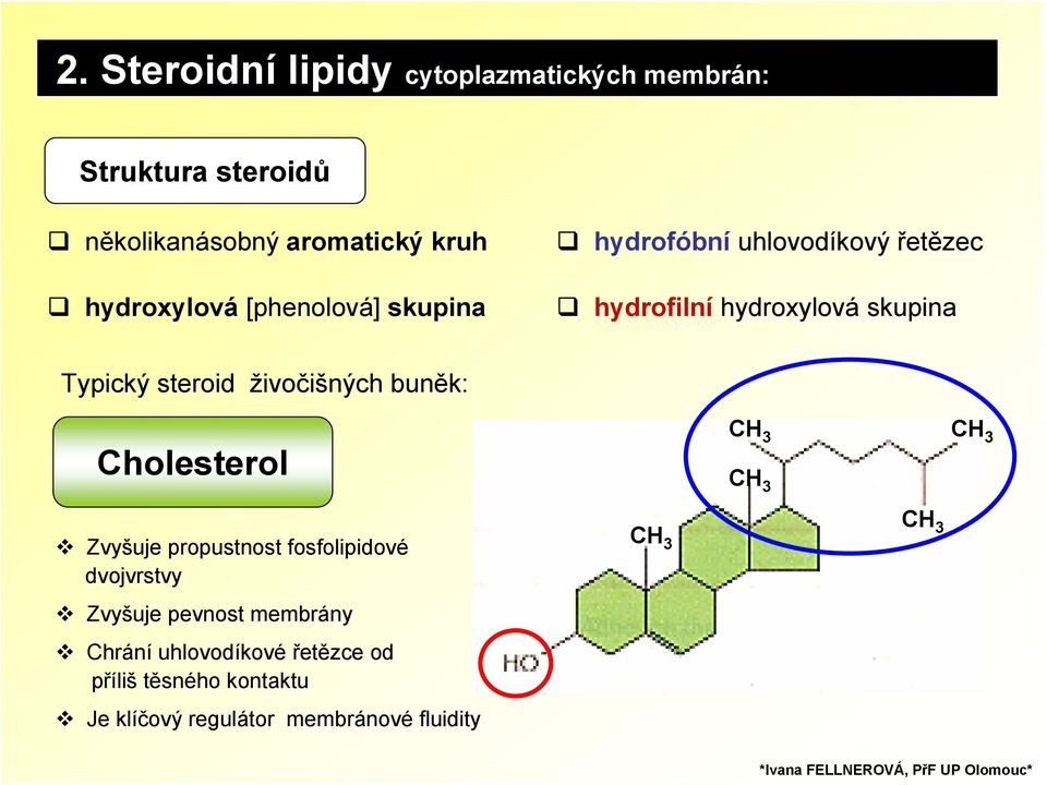 steroid živočišných buněk: Cholesterol CH 3 CH 3 CH 3 Zvyšuje propustnost fosfolipidové dvojvrstvy Zvyšuje