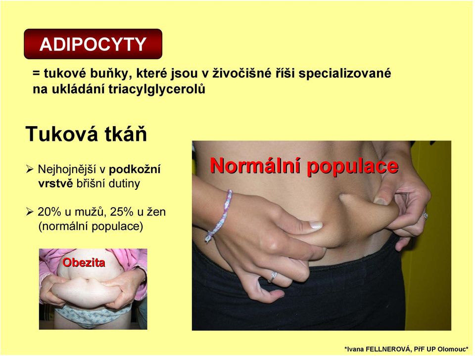 Nejhojnější v podkožní vrstvě břišní dutiny Normální