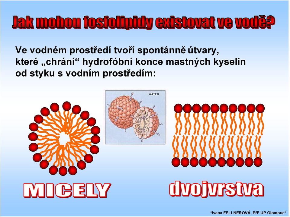 chrání hydrofóbní konce