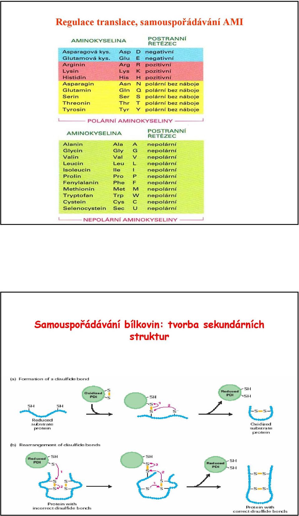 Samouspořádávání