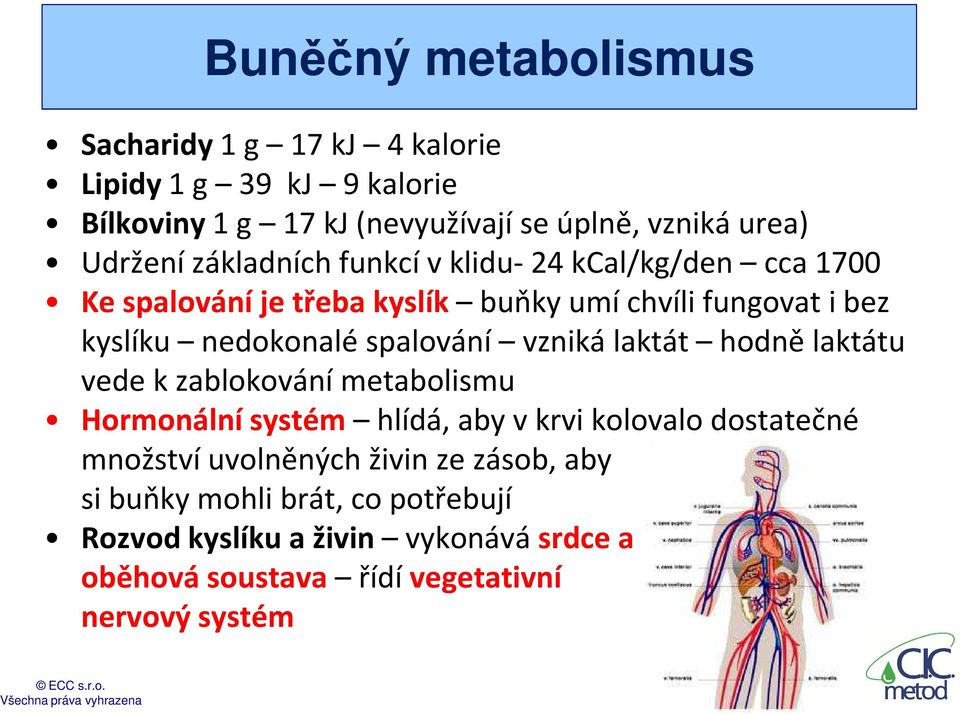 vzniká laktát hodně laktátu vede k zablokování metabolismu Hormonální systém hlídá, aby v krvi kolovalo dostatečné množství uvolněných živin