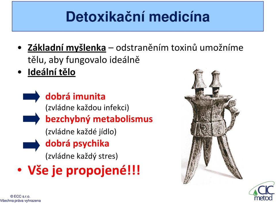 imunita (zvládne každou infekci) bezchybný metabolismus