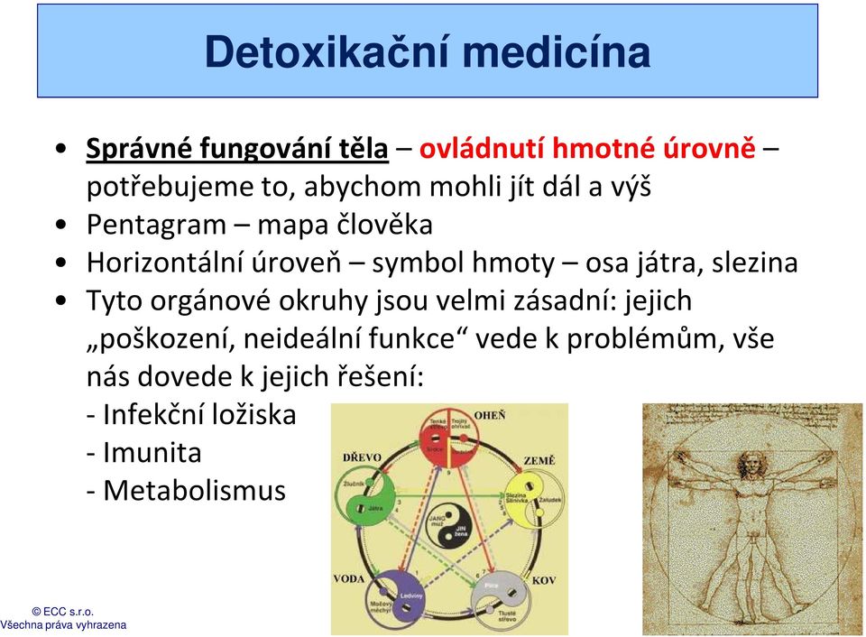 játra, slezina Tyto orgánové okruhy jsou velmi zásadní: jejich poškození, neideální