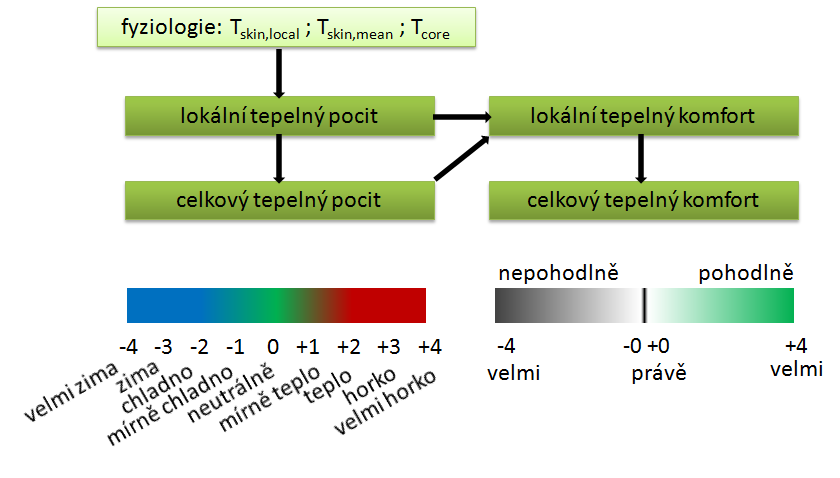 Vícesegmentové modely Fyziologie člověka Tepelné pohody