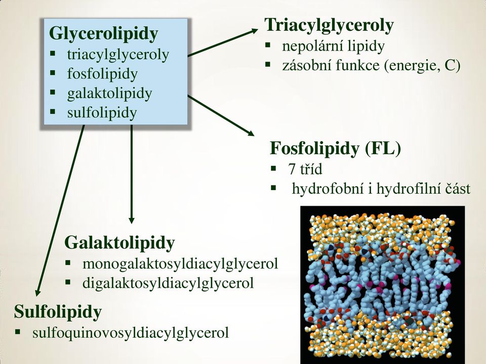 (FL) 7 tříd hydrofobní i hydrofilní část Galaktolipidy