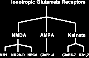 N N ATP Ga-S GP C R GTP C GTP GP C R C PLC- PIP2 PI3K PIP3