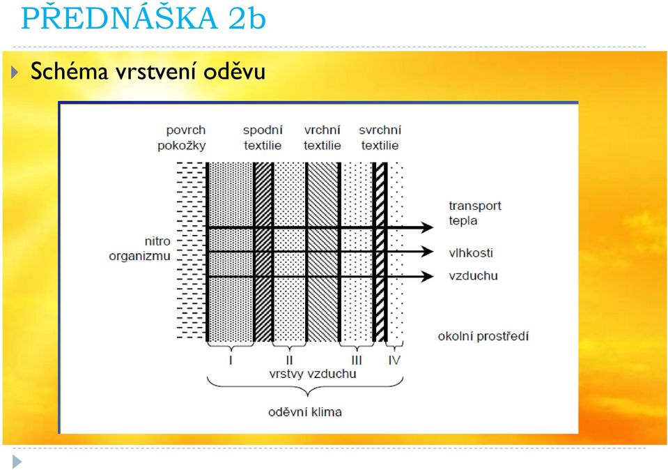 oděvu