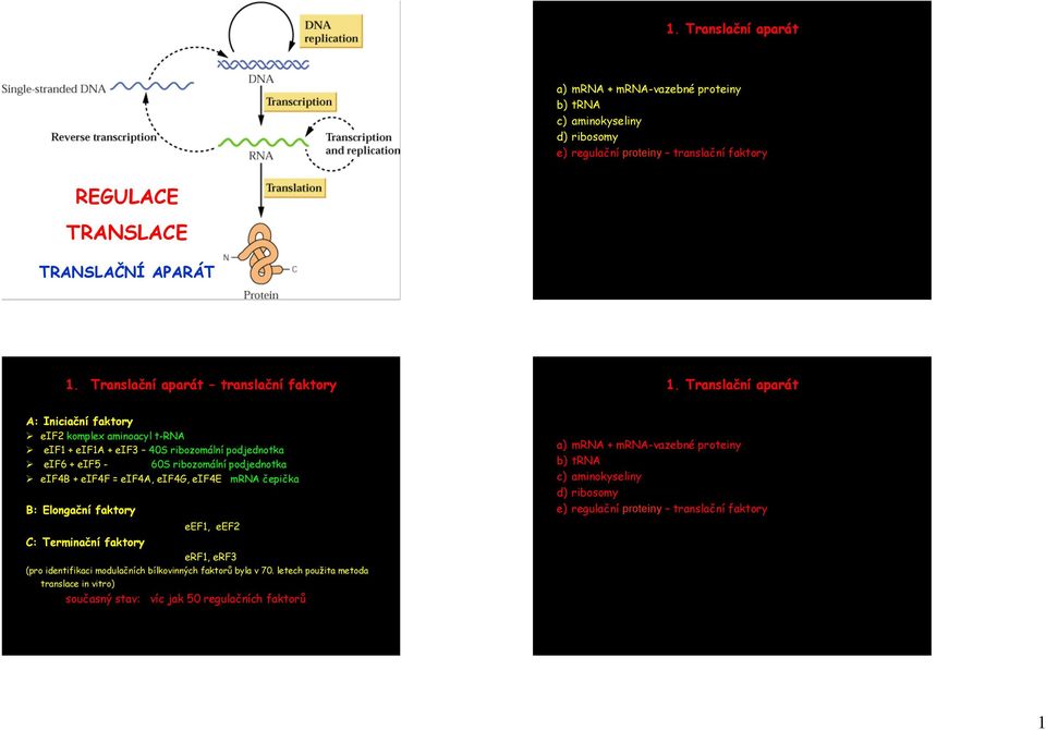 Translační aparát A: Iniciační faktory eif2 komplex aminoacyl t-rna eif1 + eif1a + eif3 40S ribozomální podjednotka eif6 + eif5-60s ribozomální podjednotka eif4b + eif4f = eif4a, eif4g,