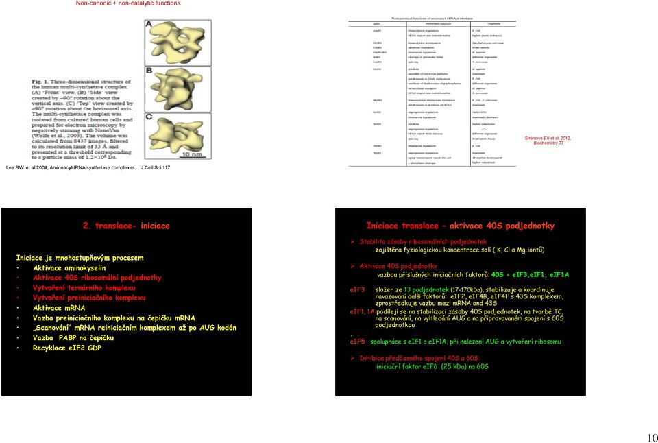 preiniciačního komplexu na čepičku mrna Scanování mrna reiniciačním komplexem až po AUG kodón Vazba PABP na čepičku Recyklace eif2.