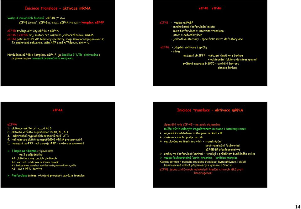 komplexu eif4 F je čepička 5 UTR- aktivována a připravena pro navázání preiniačního komplexu eif4b - vazba na PABP - mnohočetná fosforylační místa - míra fosforylace = intenzita translace - stres =
