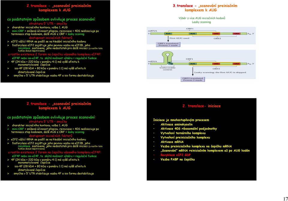 hledání iniciačního kodonu fosforylace eif2 zajišťuje jeho pevnou vazbu na eif2b, jeho recyklace zastavena, jeho nedostatek pro další iniciaci (u rostlin tato funkce dosud nepotvrzena) u rostlin