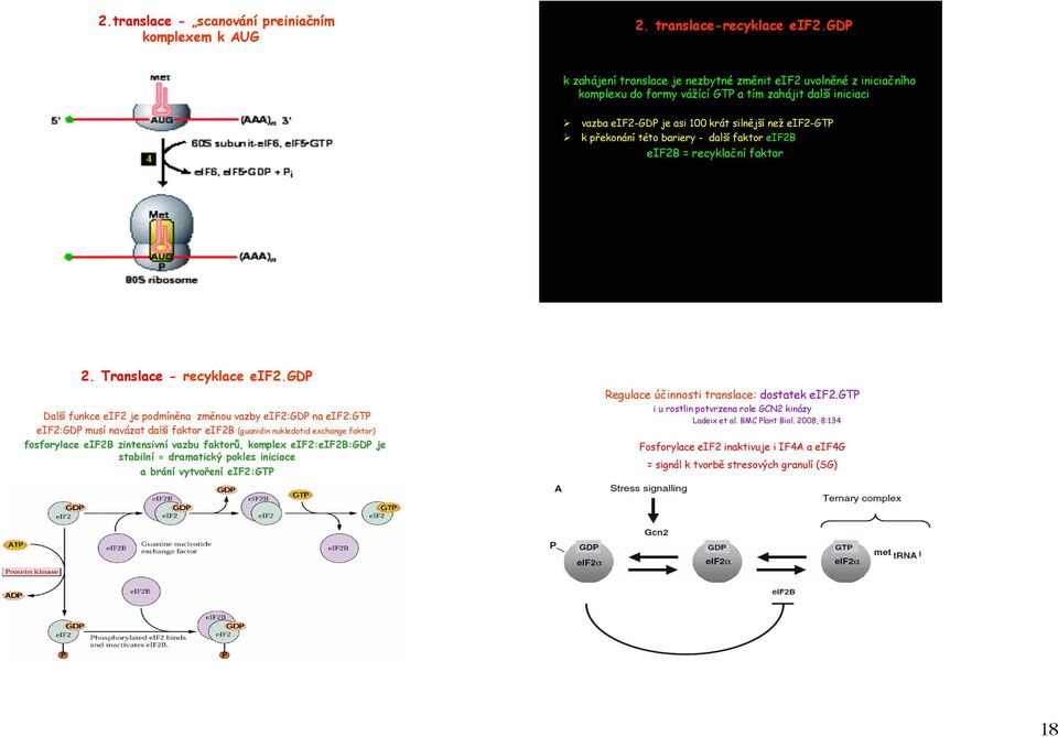 bariery - další faktor eif2b eif2b = recyklační faktor 2. Translace - recyklace eif2.