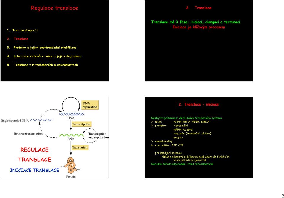 Translace - iniciace REGULACE TRANSLACE INICIACE TRANSLACE Nezbytná přítomnost všech složek translačního systému RNA: mrna, trna, rrna, mirna proteiny: ribosomální mrna