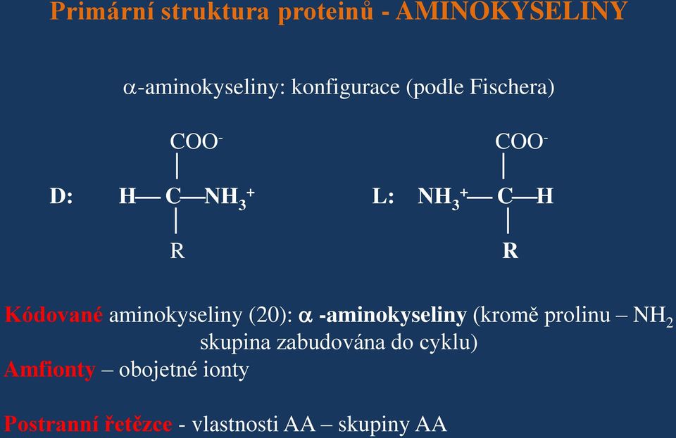 aminokyseliny (20): -aminokyseliny (kromě prolinu NH 2 skupina zabudována