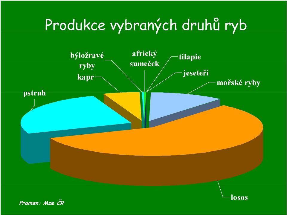 africký sumečekč tilapie