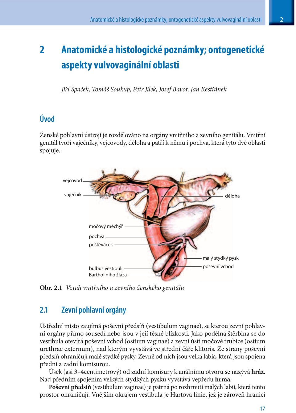 Vnitřní genitál tvoří vaječníky, vejcovody, děloha a patří k němu i pochva, která tyto dvě oblasti spojuje.