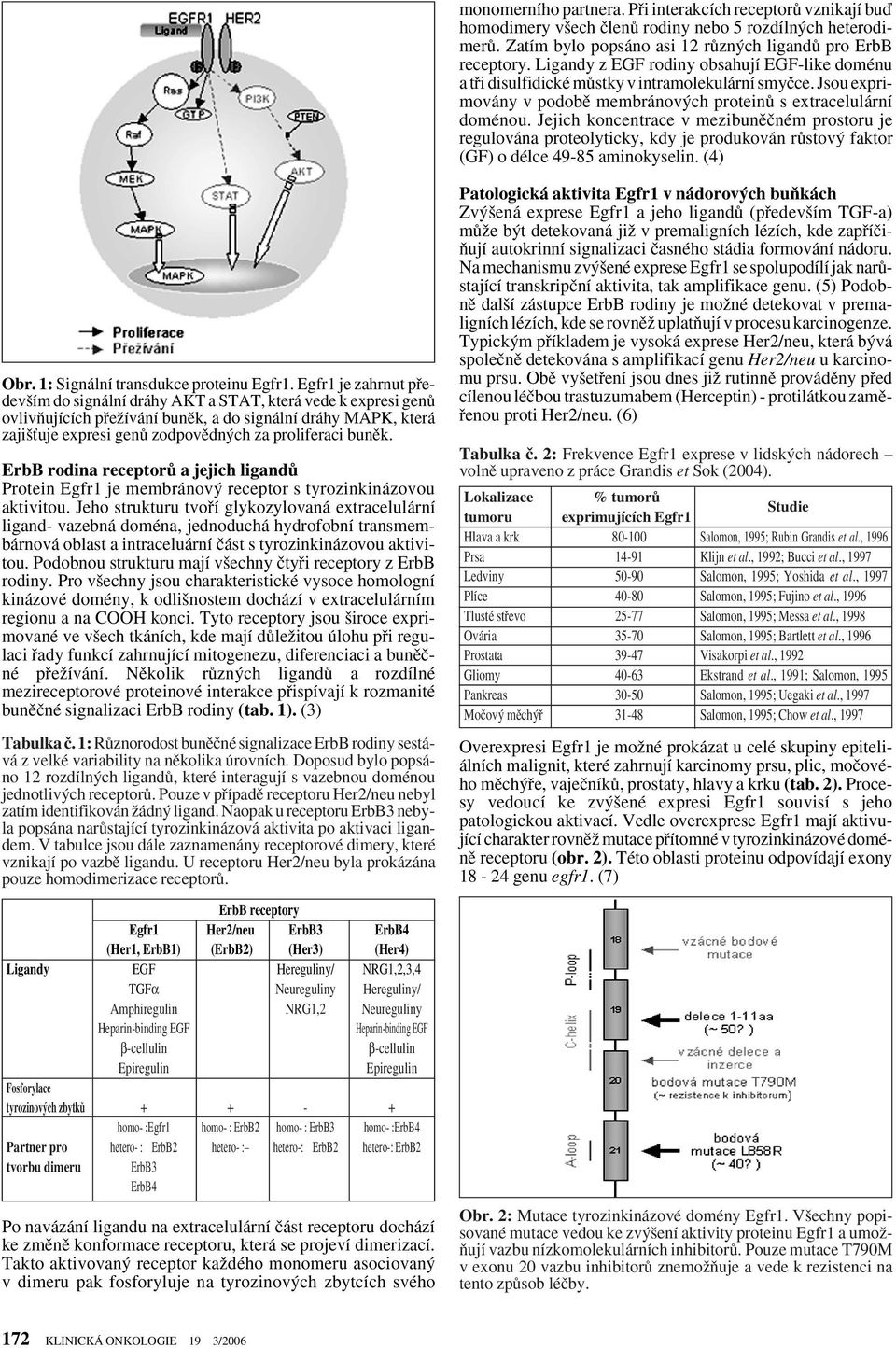 Jejich koncentrace v mezibunûãném prostoru je regulována proteolyticky, kdy je produkován rûstov faktor (GF) o délce 49-85 aminokyselin. (4) Obr. 1: Signální transdukce proteinu Egfr1.