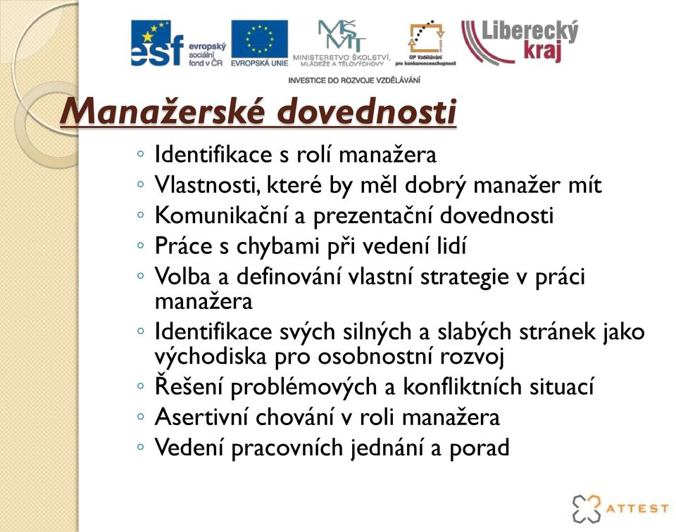 strategie v práci manažera Identifikace svých silných a slabých stránek jako východiska pro osobnostní