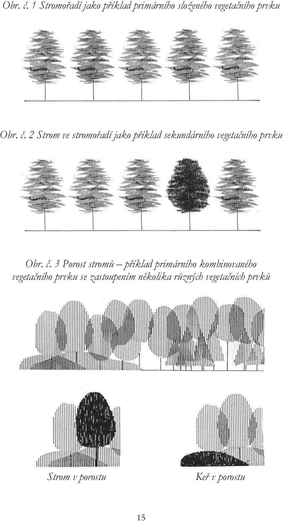 ve stromořadí jako příklad sekundárního vegetačního prvku  3 Porost stromů