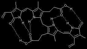 Obrázek č. 11: 4Z, 15Z-bilirubin IXα [2013-12-20]. <http://www.anaesthetist.com/icu/specl/neonate/findex.htm#index.htm>.