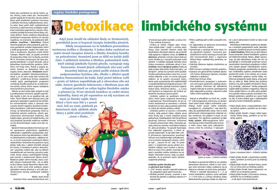 okruhu Soustřeďu ledvin totiž (kam vpatří mužských především pohlavních pohlavní žlázách, hormony kde pomáhá a některé tvořit hormony nen dledvinkové), mužské hormony, okru- spermie.