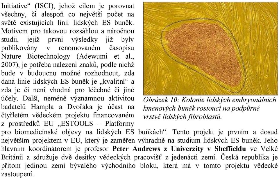 , 2007), je potřeba nalezení znaků, podle nichž bude v budoucnu možné rozhodnout, zda daná linie lidských ES buněk je kvalitní a zda je či není vhodná pro léčebné či jiné účely.