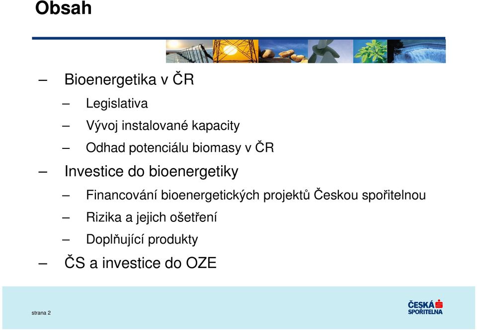 Financování bioenergetických projektů Českou spořitelnou Rizika
