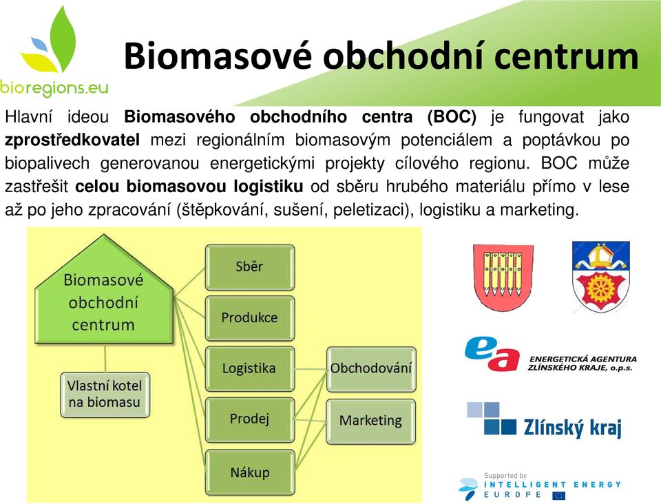 energetickými projekty cílového regionu.