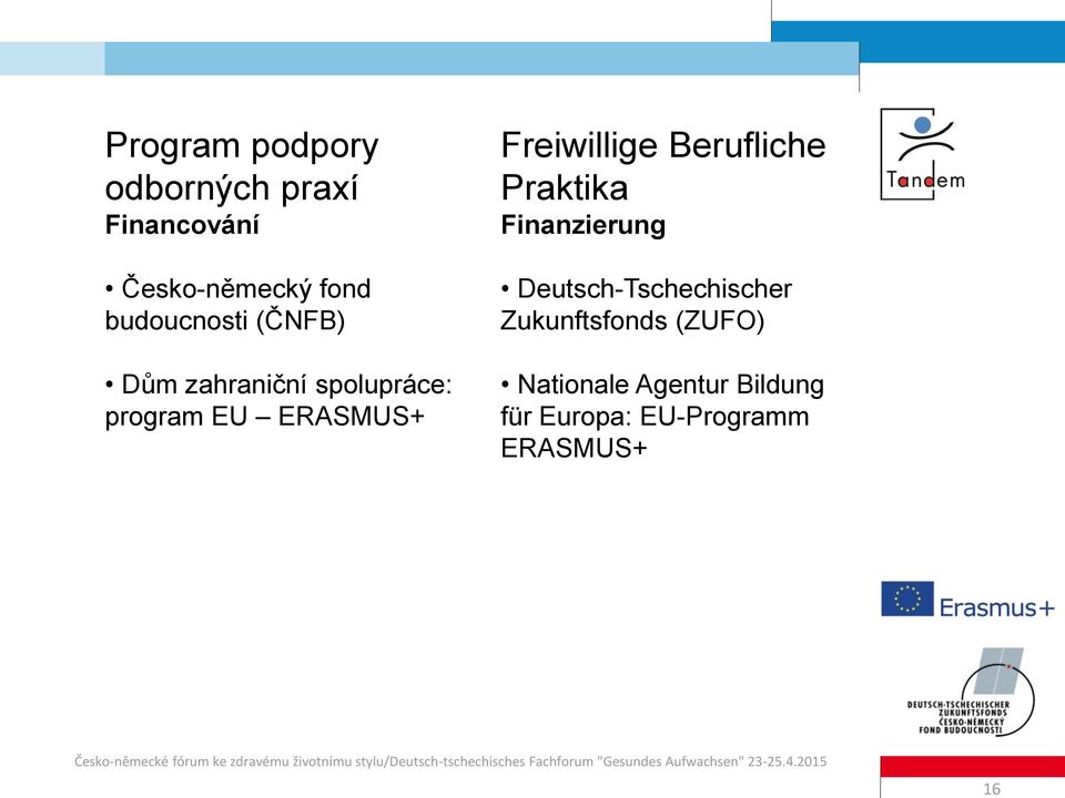 Freiwillige Berufliche Praktika Finanzierung Deutsch-Tschechischer