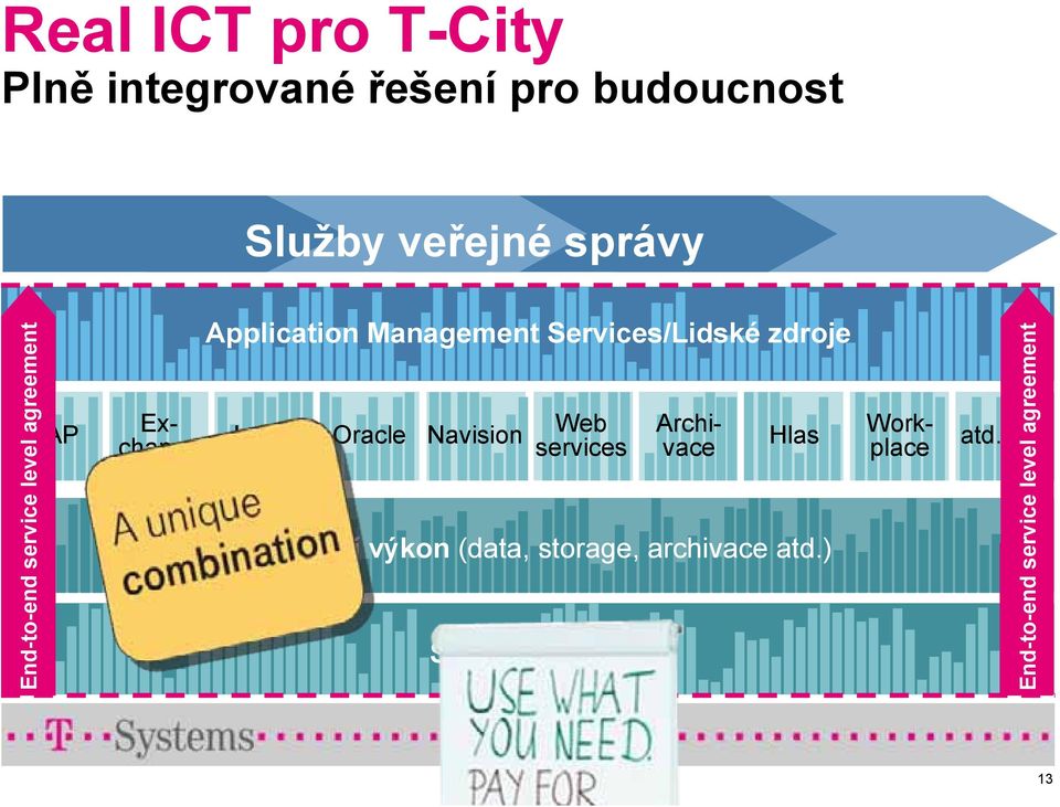 Lotus Oracle Navision Web services Hlas Výpočetní výkon (data, storage, archivace atd.