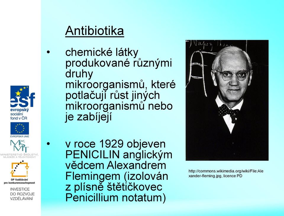 PENICILIN anglickým vědcem Alexandrem Flemingem (izolován z plísně štětičkovec