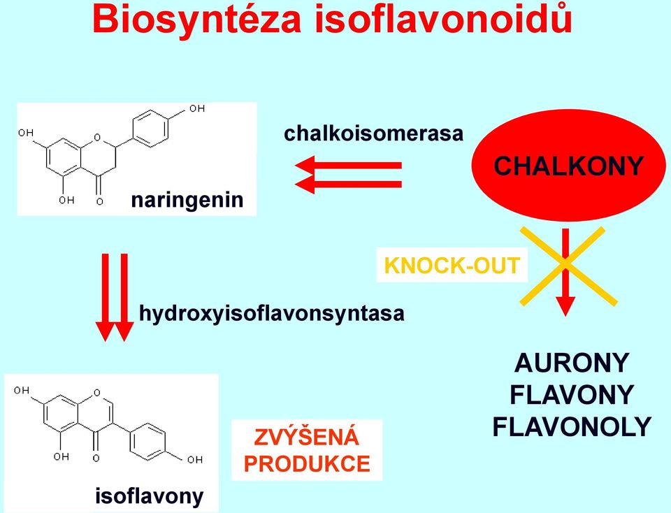 hydroxyisoflavonsyntasa KNOCK-OUT