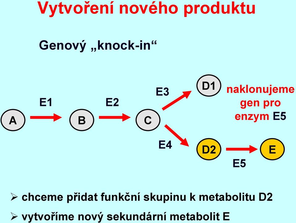 E4 D2 E5 E chceme přidat funkční skupinu k