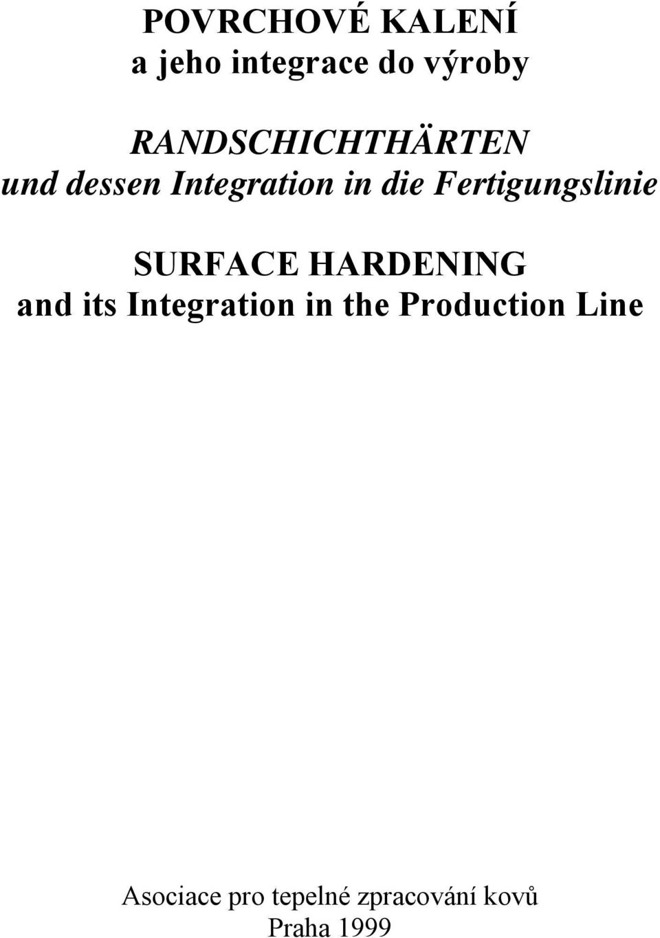 Fertigungslinie SURFACE HARDENING and its Integration