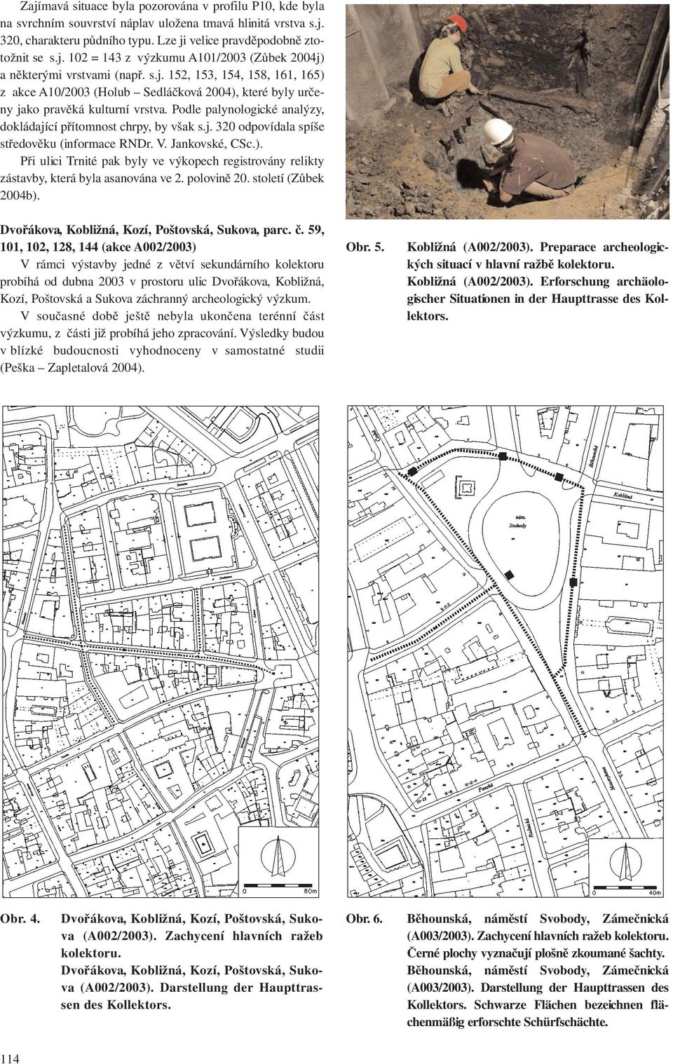 V. Jankovské, CSc.). Při ulici Trnité pak byly ve výkopech registrovány relikty zástavby, která byla asanována ve 2. polovině 20. století (Zůbek 2004b).