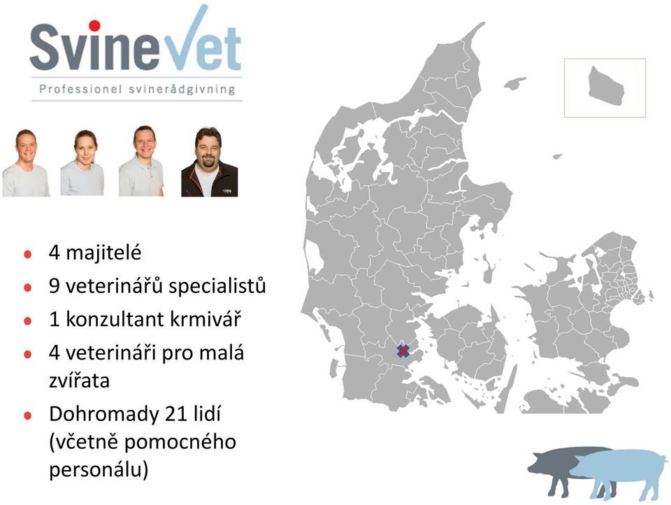 4 veterináři pro malá zvířata