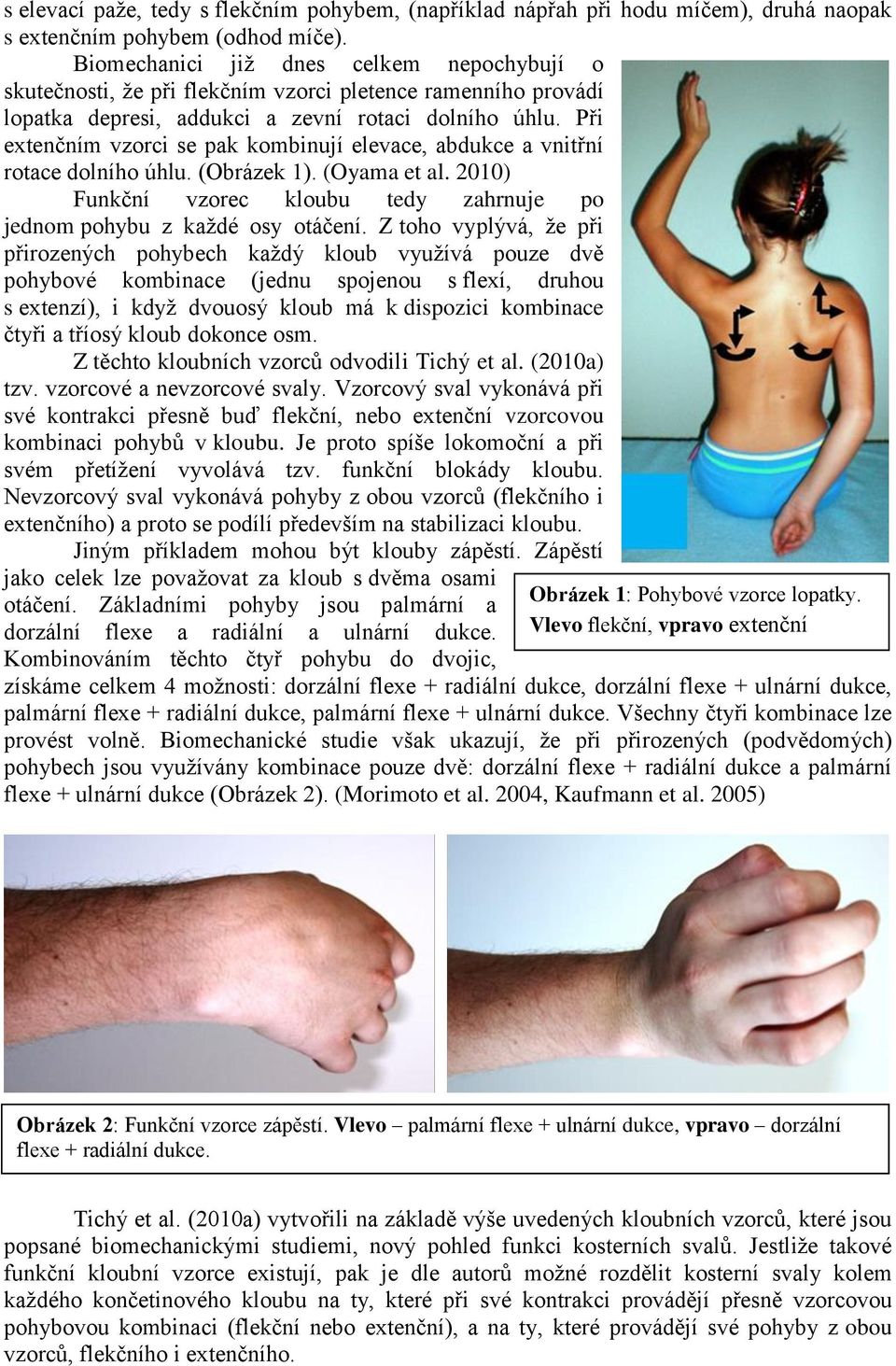 Při extenčním vzorci se pak kombinují elevace, abdukce a vnitřní rotace dolního úhlu. (Obrázek 1). (Oyama et al. 2010) Funkční vzorec kloubu tedy zahrnuje po jednom pohybu z každé osy otáčení.