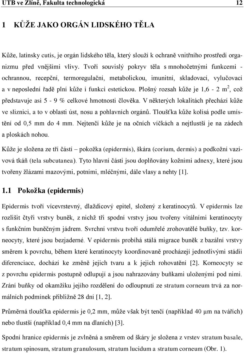 Plošný rozsah kůže je 1,6-2 m 2, což představuje asi 5-9 % celkové hmotnosti člověka. V některých lokalitách přechází kůže ve sliznici, a to v oblasti úst, nosu a pohlavních orgánů.