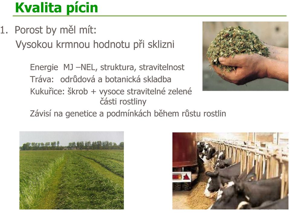 NEL, struktura, stravitelnost Tráva: odrůdová a botanická