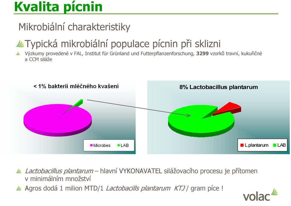 siláže 8% Lactobacillus plantarum L.