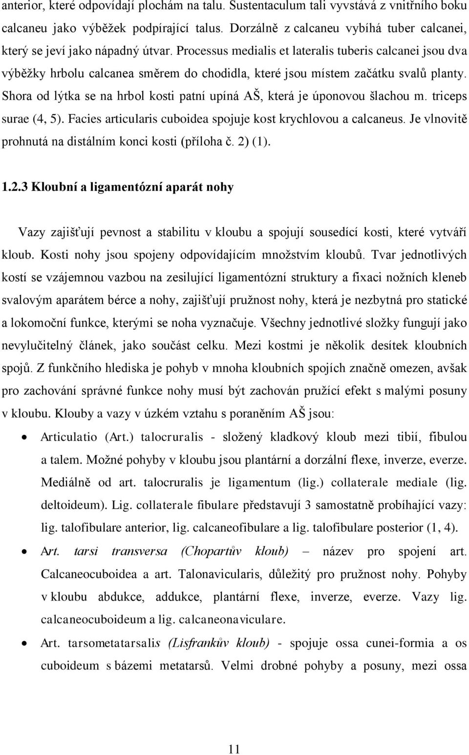 Processus medialis et lateralis tuberis calcanei jsou dva výběžky hrbolu calcanea směrem do chodidla, které jsou místem začátku svalů planty.