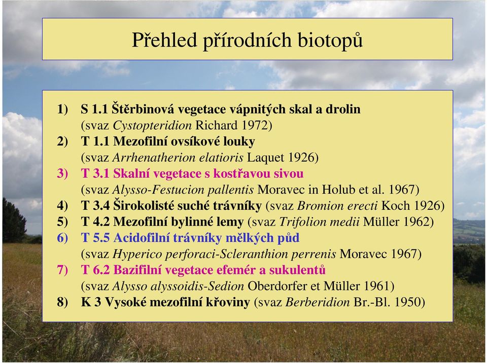 1967) 4) T 3.4 Širokolisté suché trávníky (svaz Bromion erecti Koch 1926) 5) T 4.2 Mezofilní bylinné lemy (svaz Trifolion medii Müller 1962) 6) T 5.