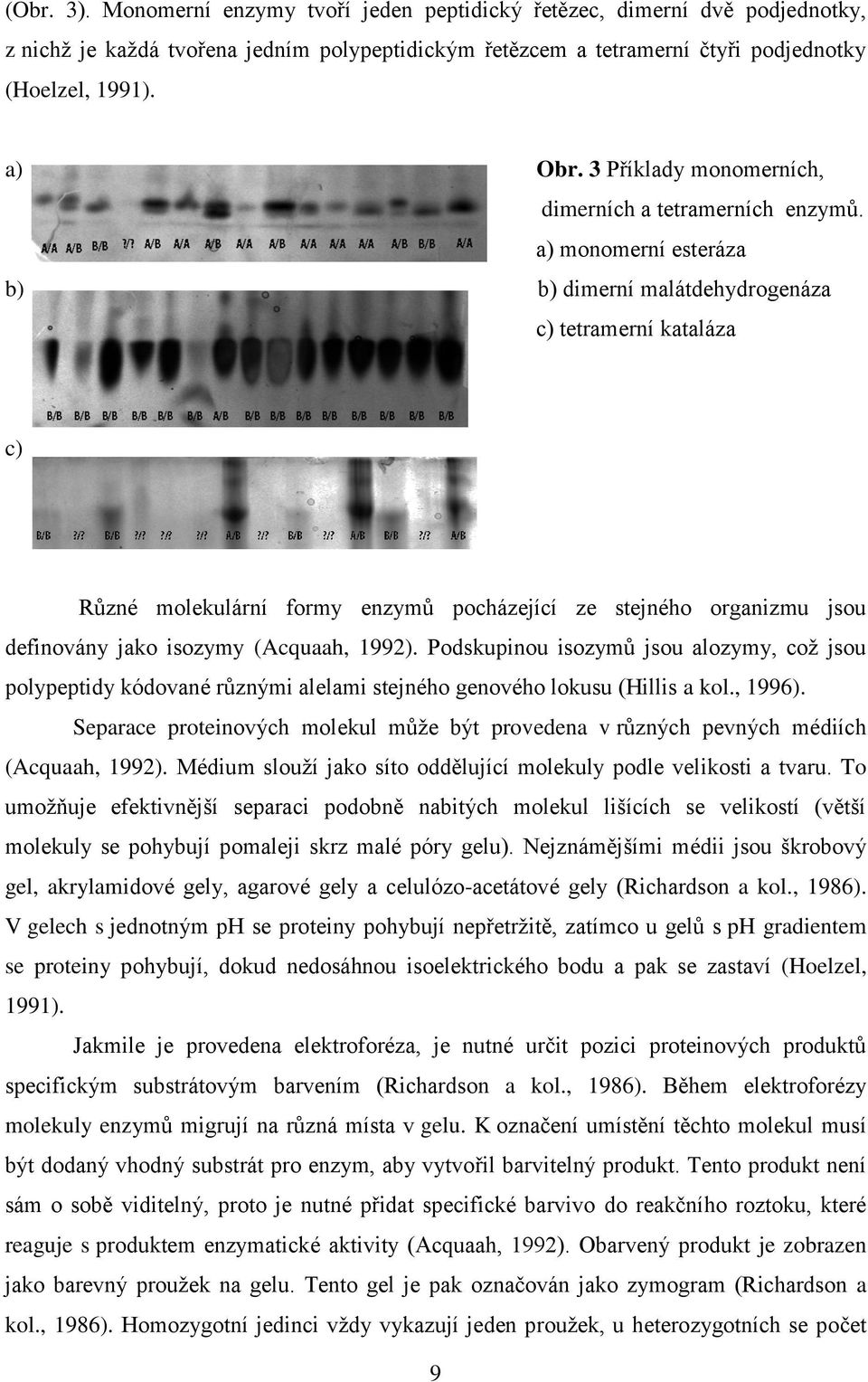 a) monomerní esteráza b) b) dimerní malátdehydrogenáza c) tetramerní kataláza c) Různé molekulární formy enzymů pocházející ze stejného organizmu jsou definovány jako isozymy (Acquaah, 1992).