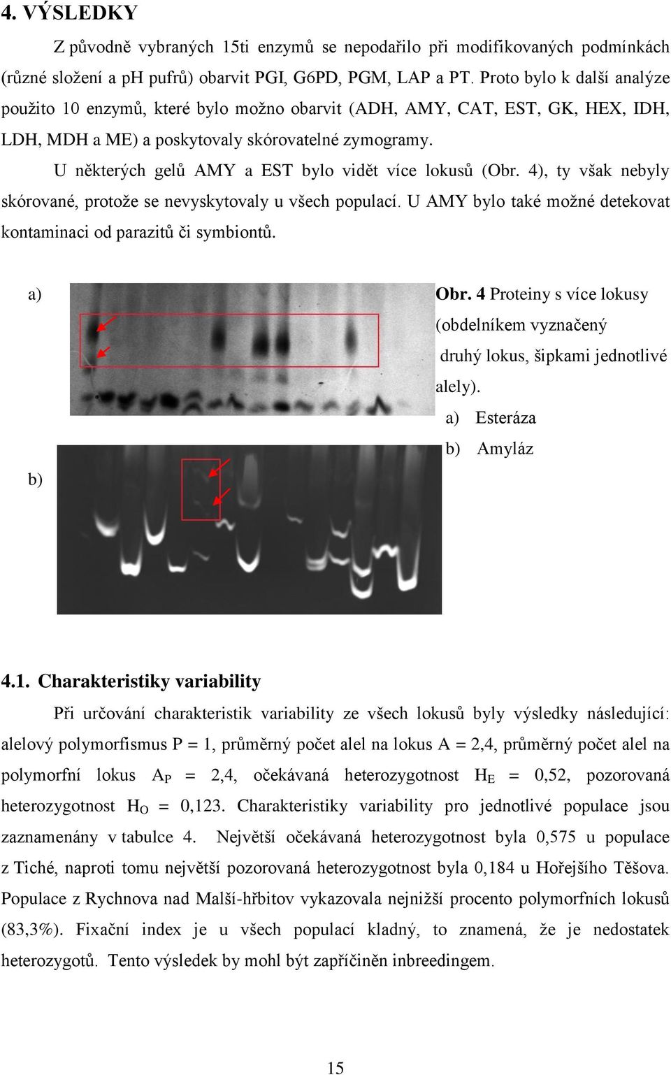 U některých gelů AMY a EST bylo vidět více lokusů (Obr. 4), ty však nebyly skórované, protoţe se nevyskytovaly u všech populací. U AMY bylo také moţné detekovat kontaminaci od parazitů či symbiontů.