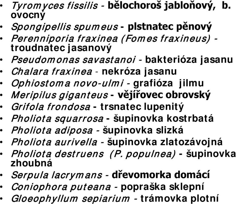 fraxinea - nekróza jasanu Ophiostoma novo-ulmi - grafióza jilmu Meripilus giganteus - vějířovec obrovský Grifola frondosa - trsnatec lupenitý Pholiota